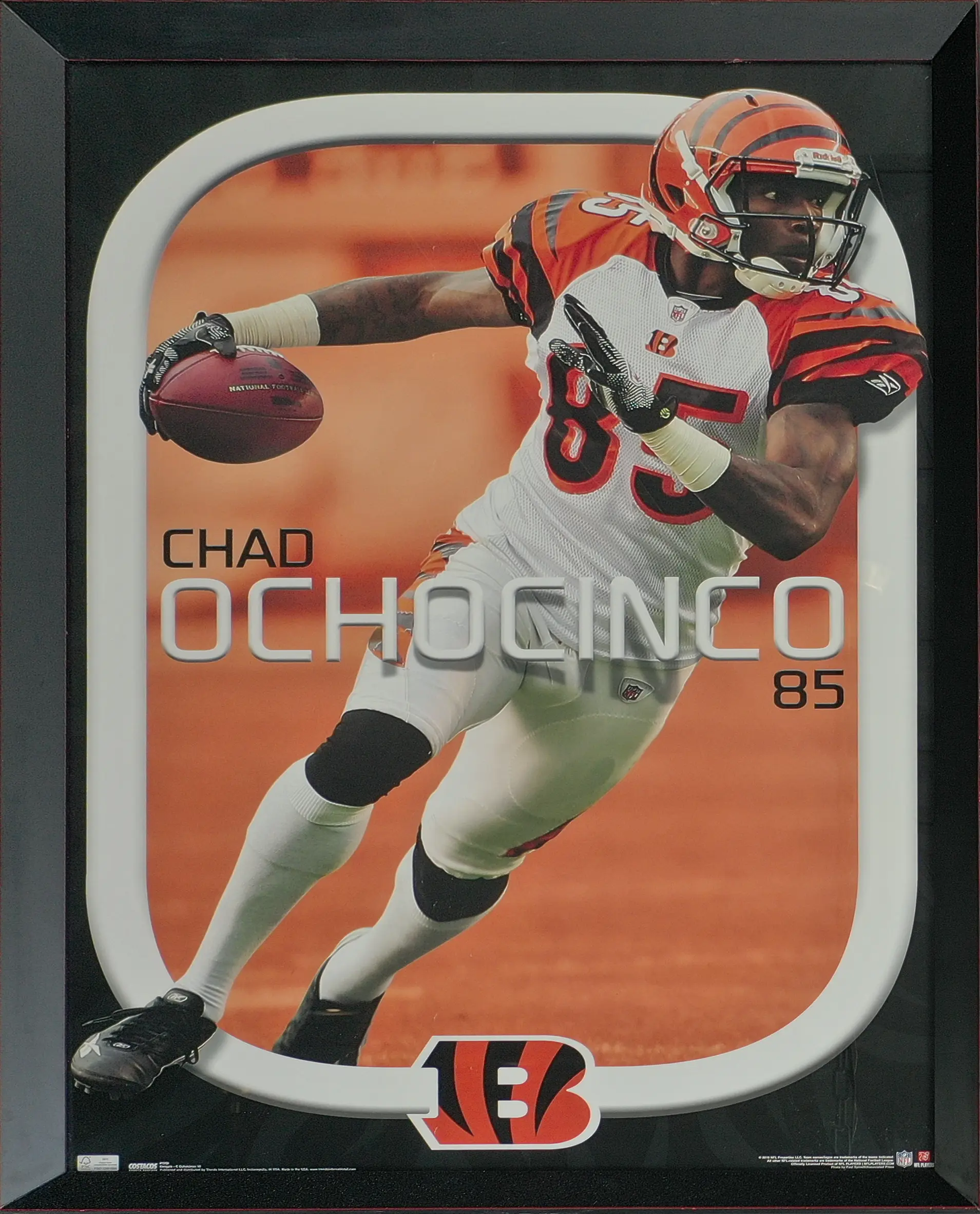 Ochocinco needs no introduction. - Cincinnati Bengals